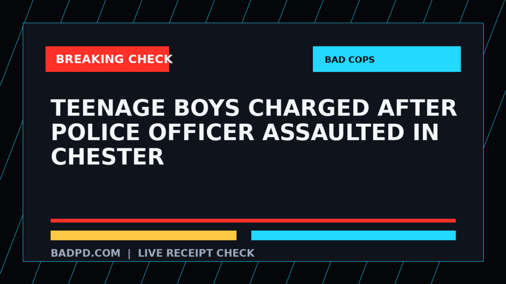 Symbolic editorial breaking-check graphic for Teenage boys charged after police officer assaulted in Chester, not a depiction of the event.